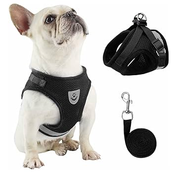 犬用リード＆ハーネス2点SET！Black革Blue系マルチドット 犬用リード＆ハーネス2点SET！Black革Blue系マルチドット